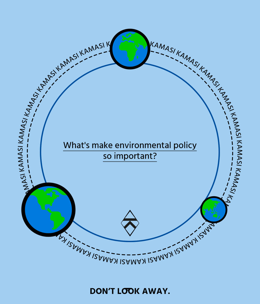 What makes environmental policy so important?
